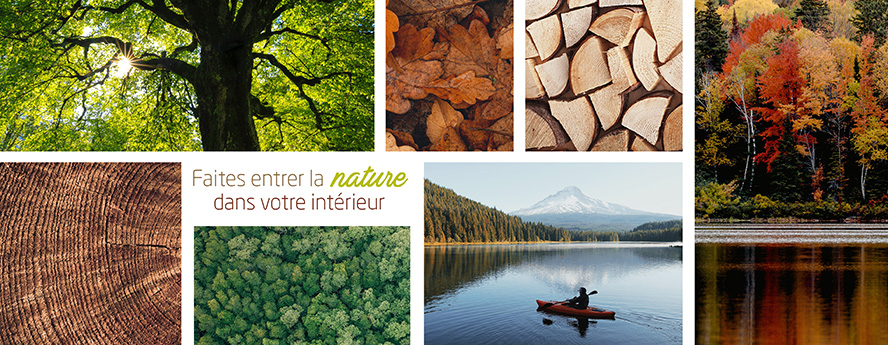 Faites_entrer_la_nature_dans_votre_interieur