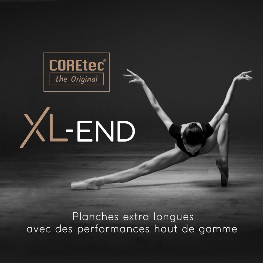 Affiche_Coretec_XL-END