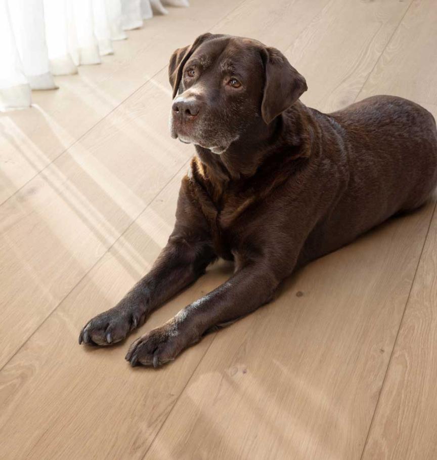 50-LVREXL-4355_Coretec_XL-END_Kylemore_detail