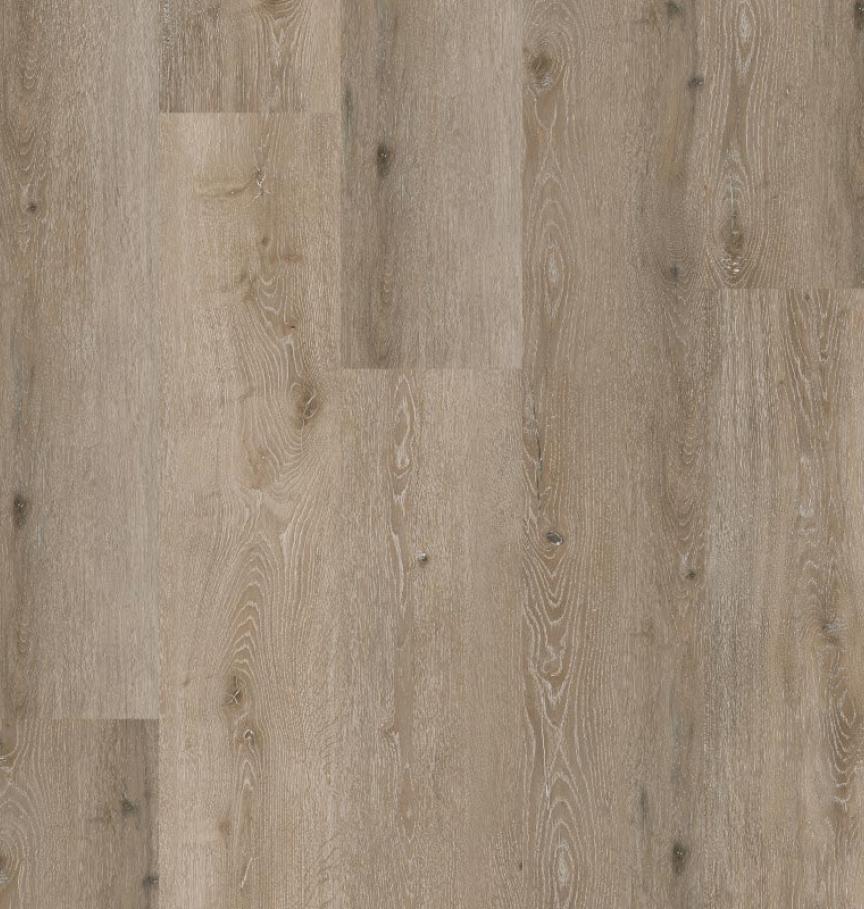 COREtec Noble Oak 55 - Côté Sol - Sol pvc clipsable