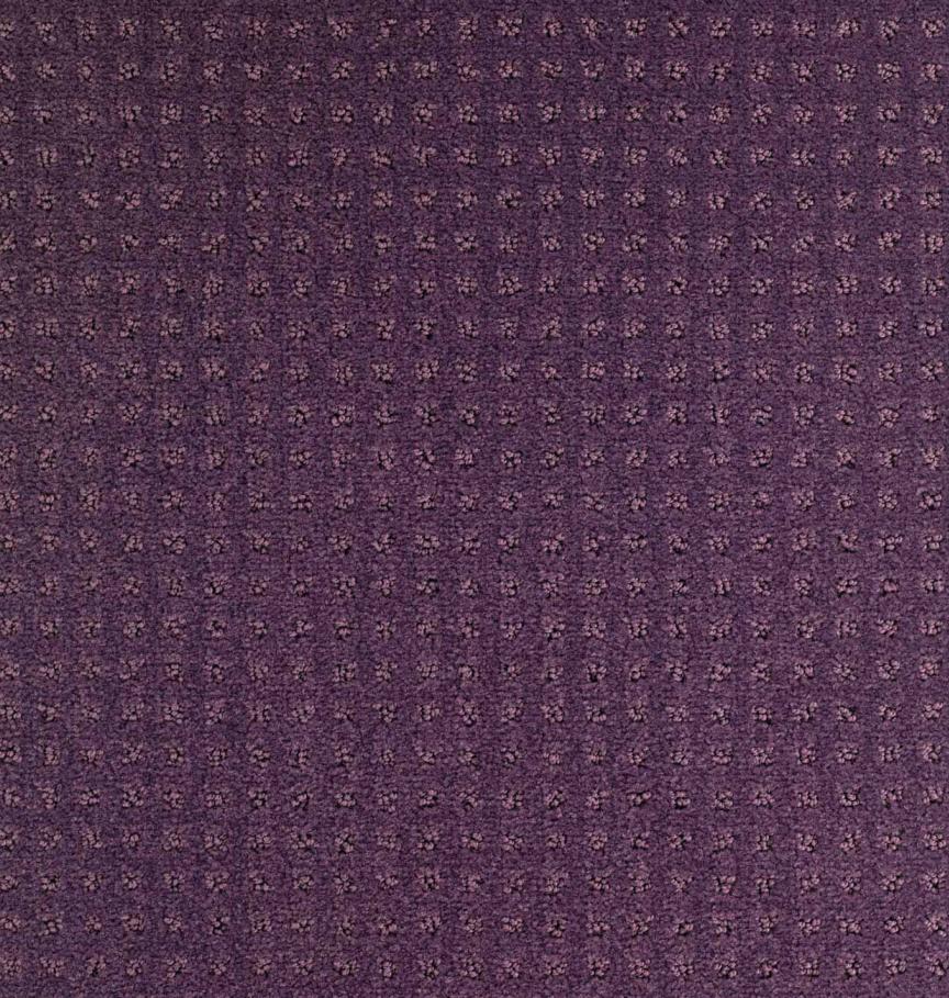 DE871_Purple_Look_Moquettes_Devon