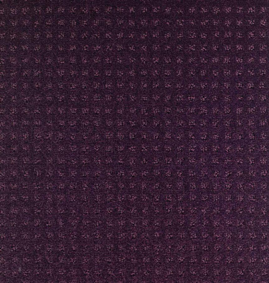 DE891_Purple_Look_Moquettes_Devon