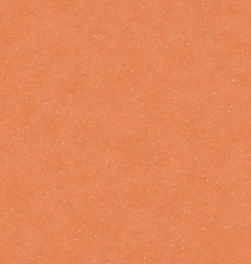 Detail_PLR386C_Tropical_Orange--ID_1789_medium