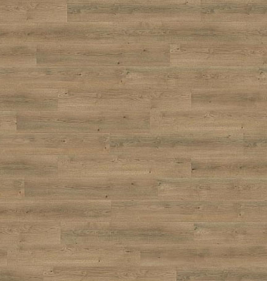 Draufsicht_PL15005WL_Lodge_Oak_Brown--ID_2335_medium