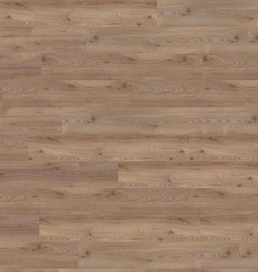 Draufsicht_PL15215WXL_Ravenna_Oak_Nature--ID_2352_medium