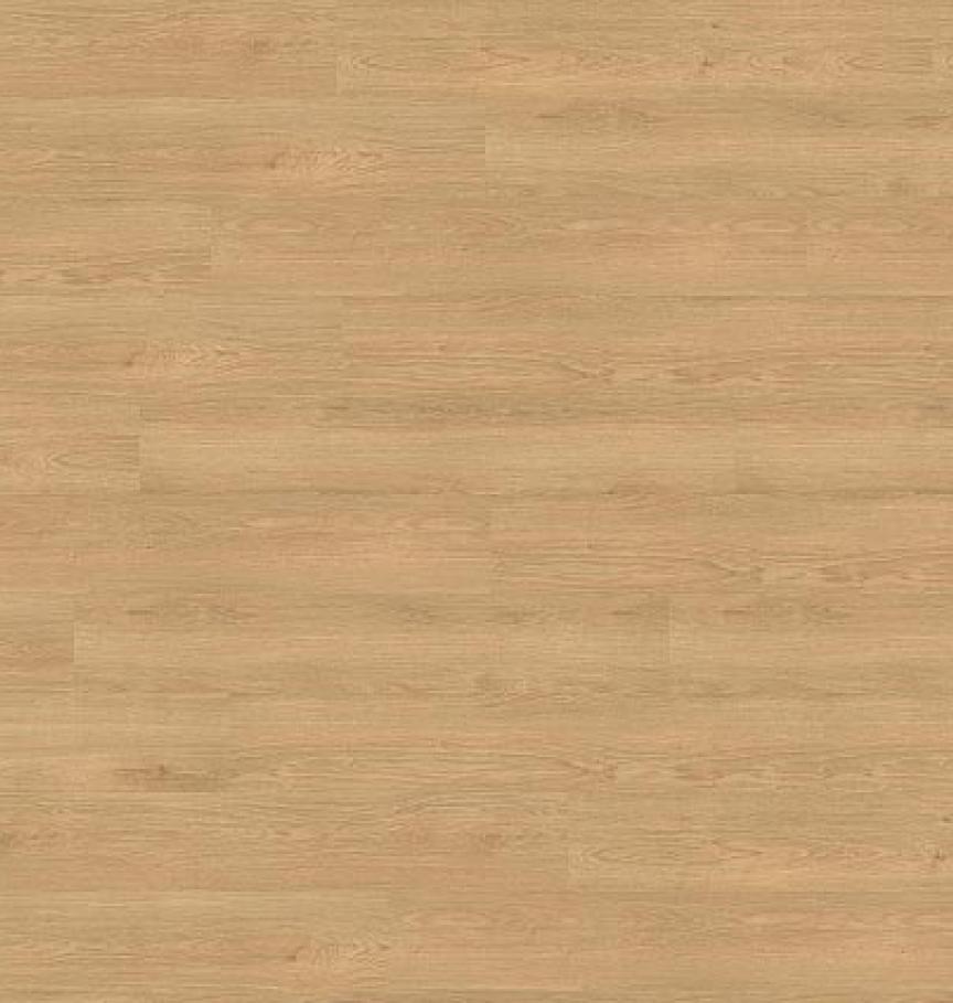 Draufsicht_PL15221WXL_Siena_Oak_Honey--ID_2359_medium