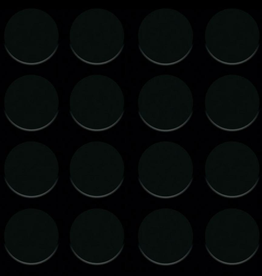 N004_DS