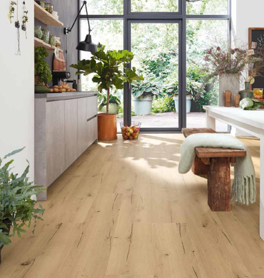 PL271R_Announcing_Fritz_RS