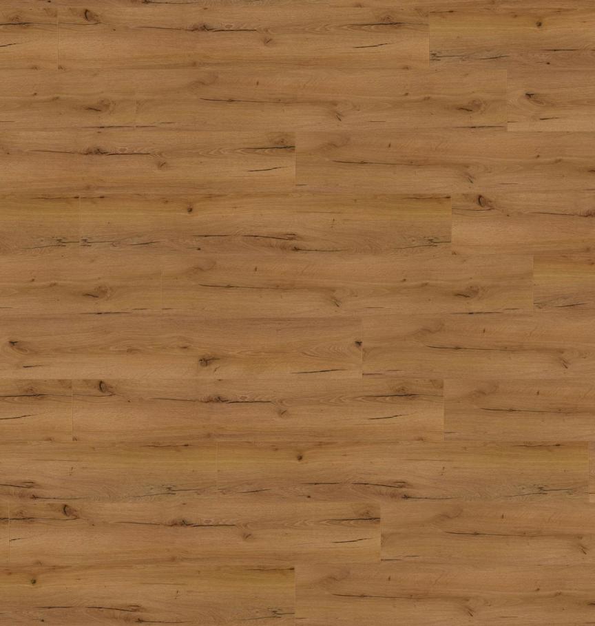 PL272R_Say_hi_to_Klara_Wineo_1200_PS