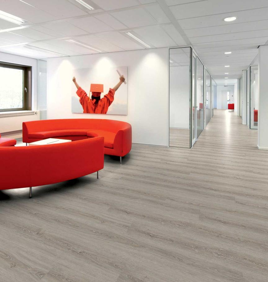 Lifestyle 70 - CO70XL9852 - Chene Gris Moderne