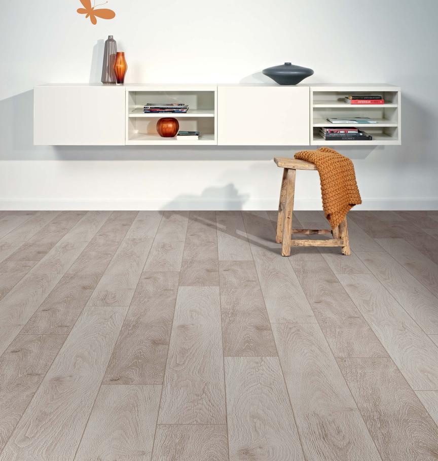 Chêne Gris de Montagne - STY00179AP