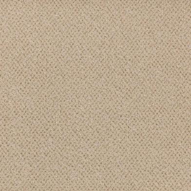 AR2604_Beige_Look_Moquettes_Ariane_II