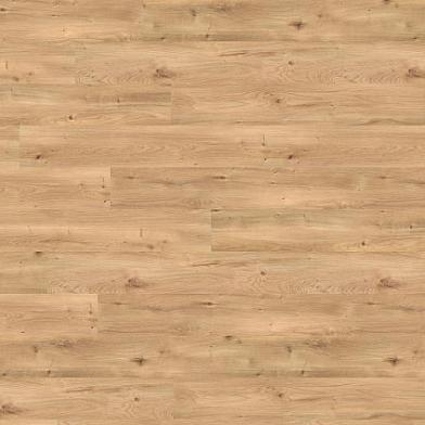 Draufsicht_PL15206WXL_Intensive_Oak_Amber--ID_2345_medium